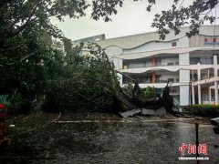 直击台风“剑鱼”十二级风圈